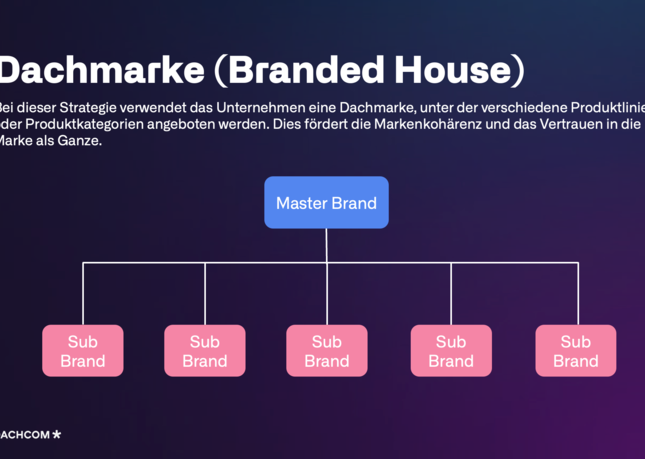 Infografik Markenarchitektur - Mechanik Dachmarke (Branded House) - DACHCOM
