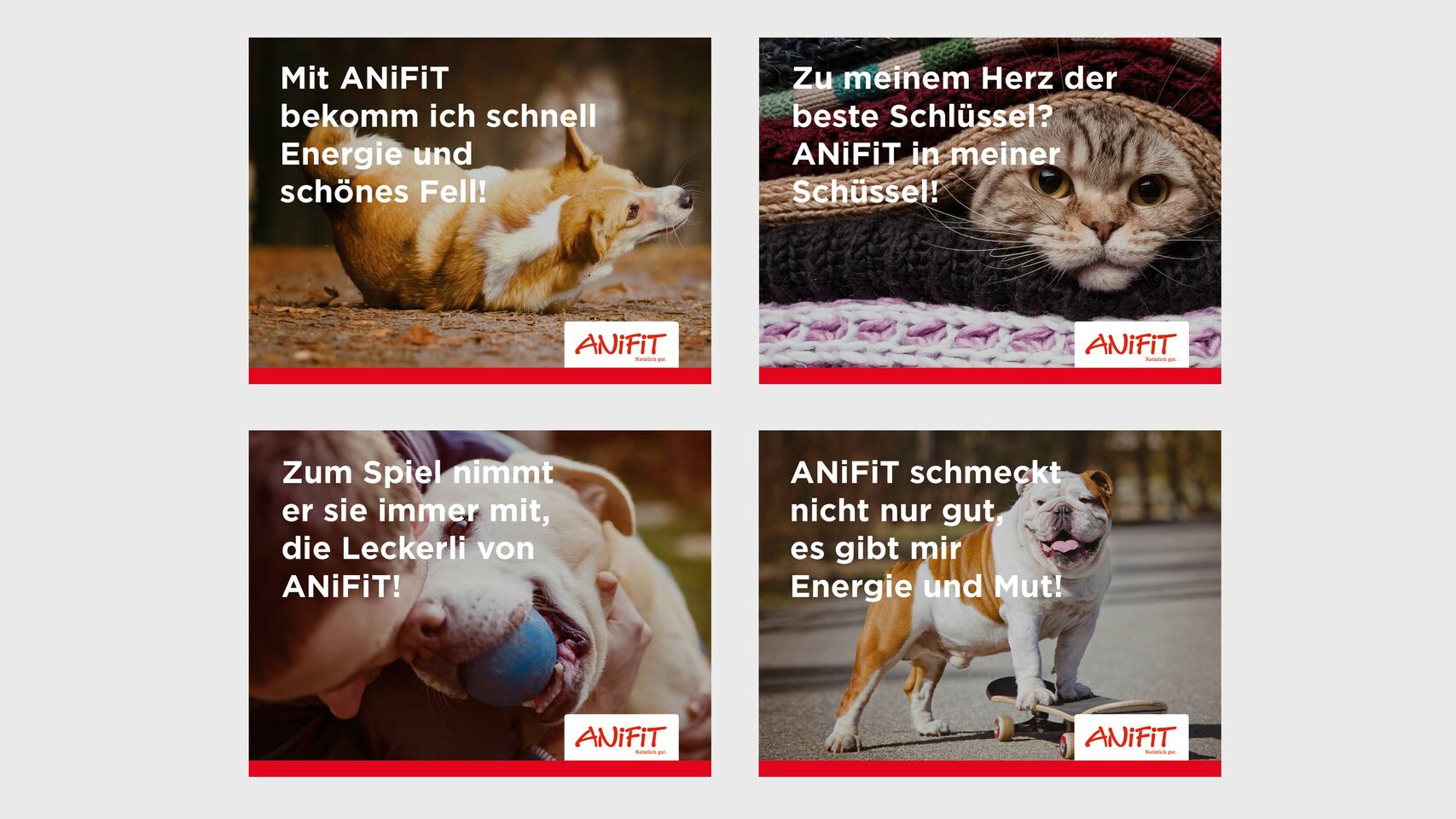 AniFit - Branding