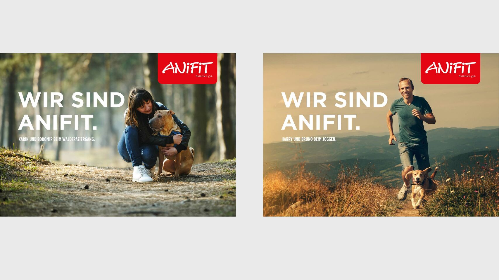 AniFit - Strategie