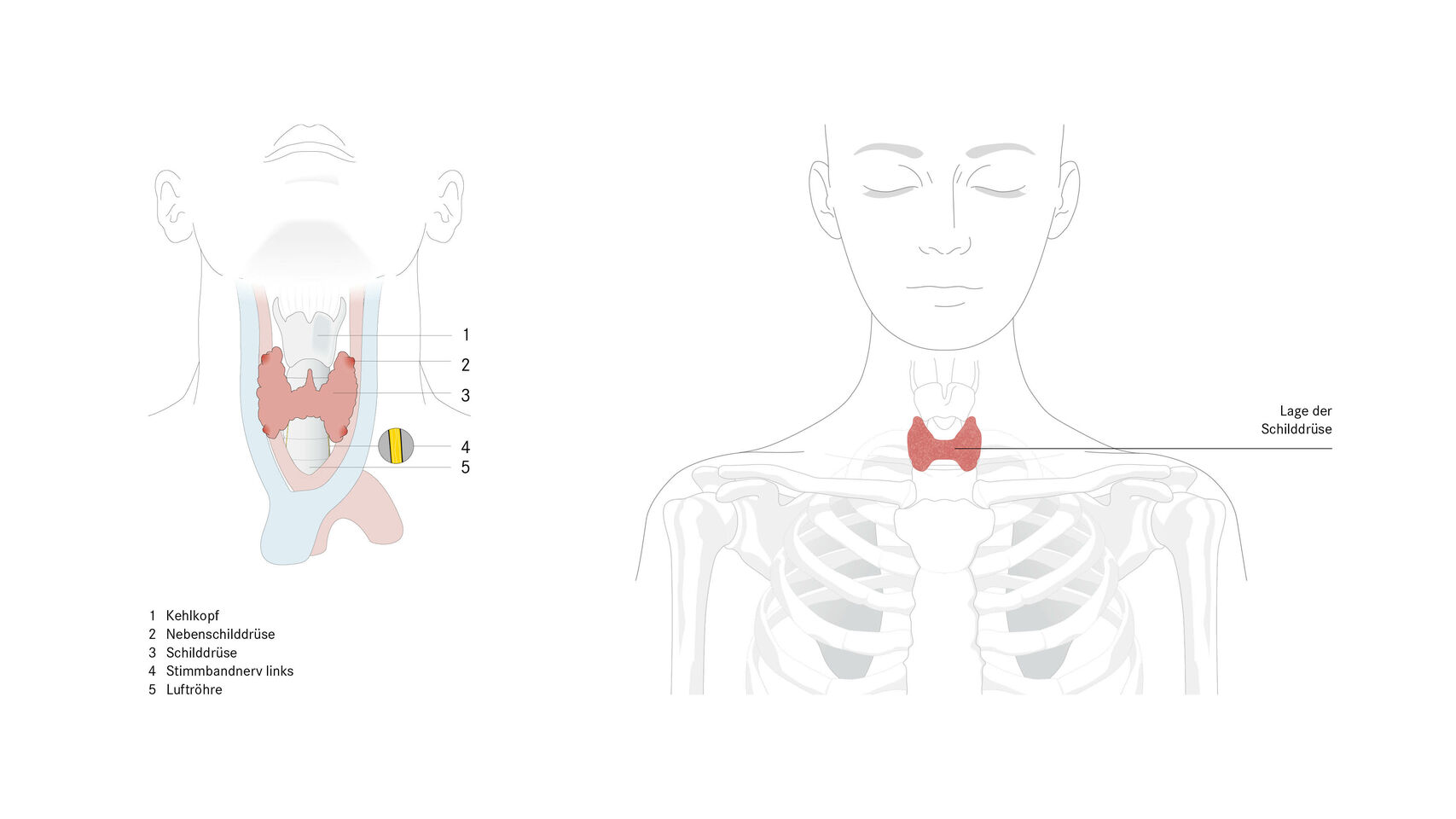 Klinik Seeschau - Chirurgie Illustration