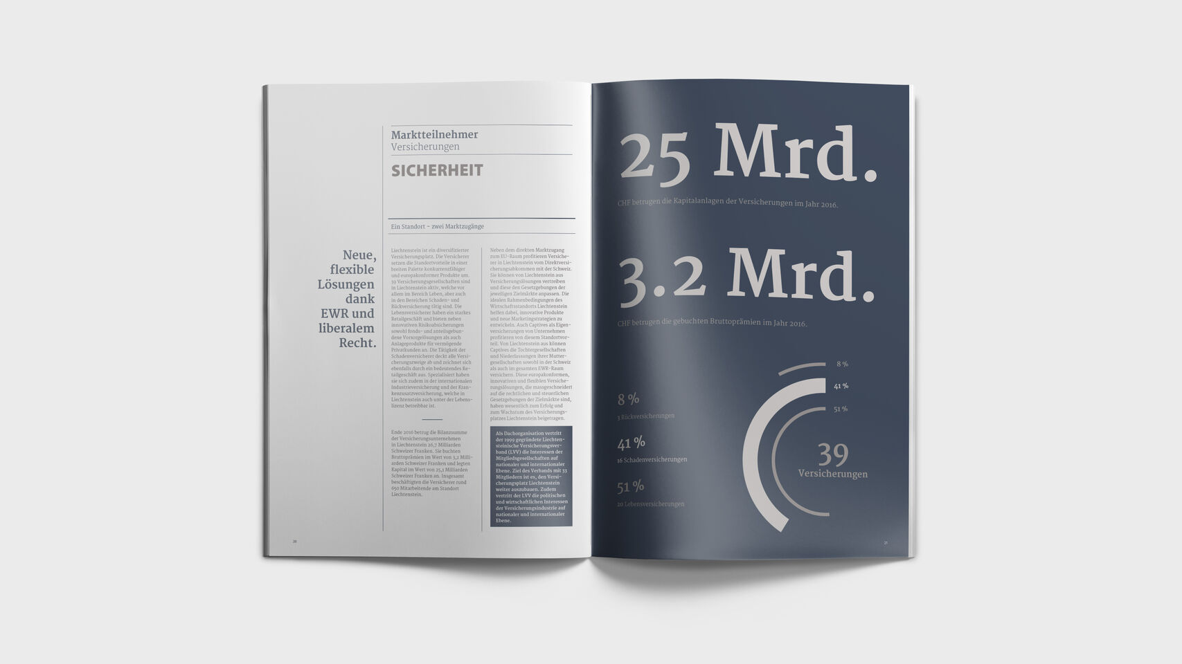 Liechtenstein Marketing – Broschüre Finanzplatz – Infografik