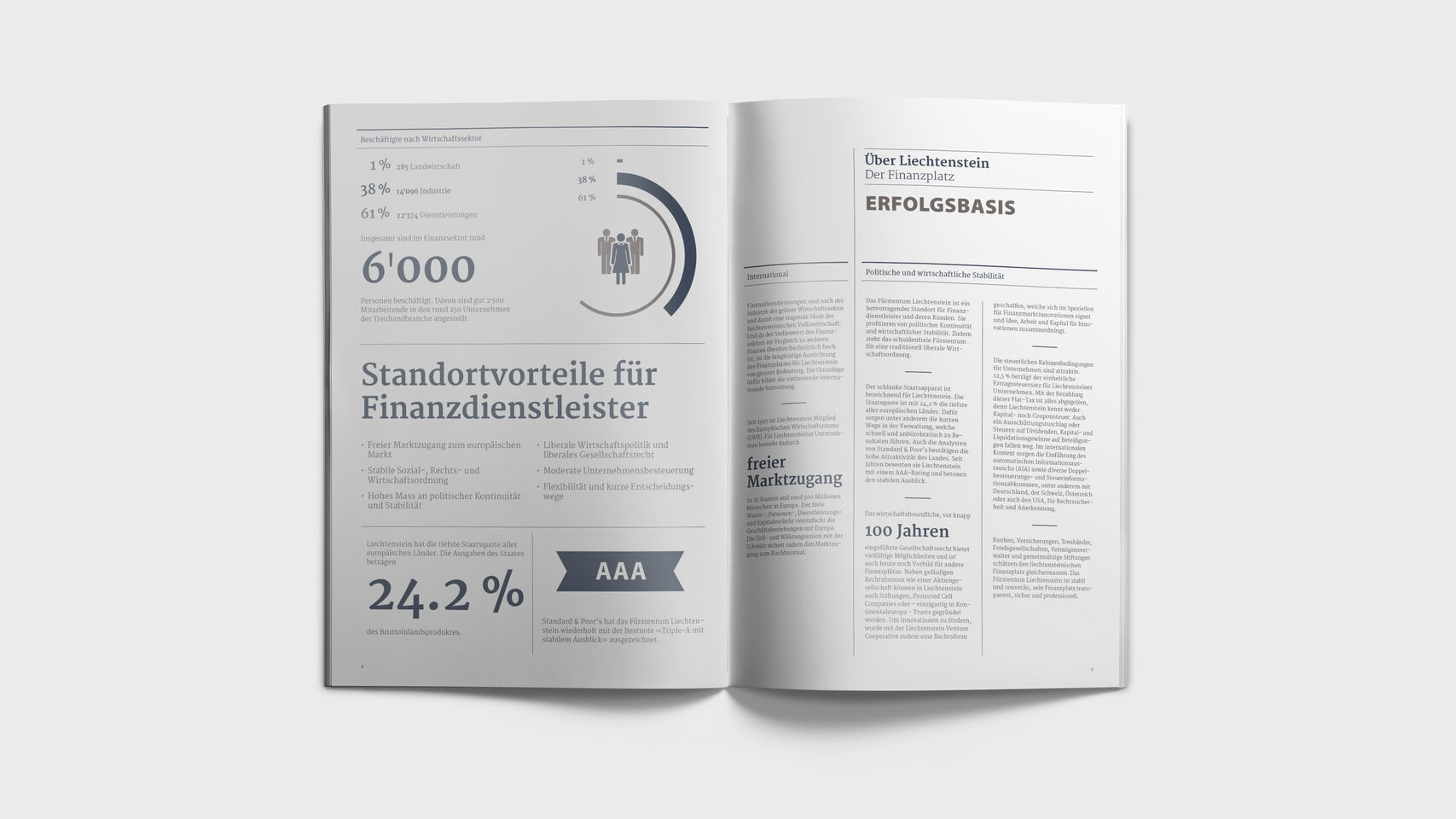Liechtenstein Marketing – Broschüre Finanzplatz – Inhalte