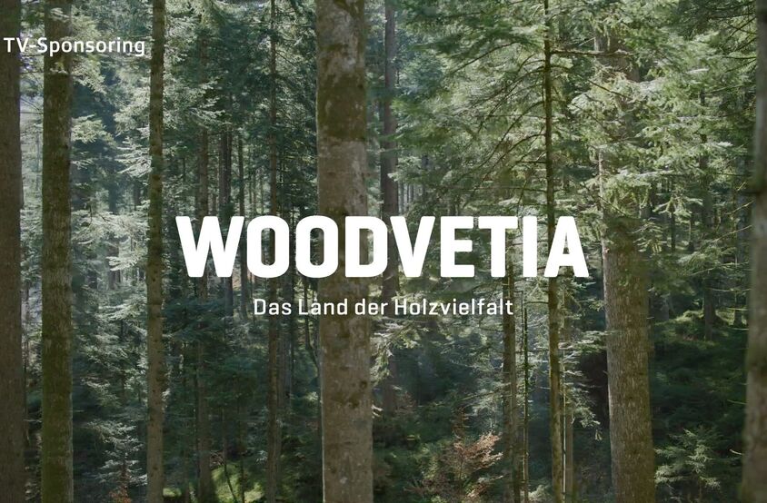 Schweizer Holz - Bildwelt