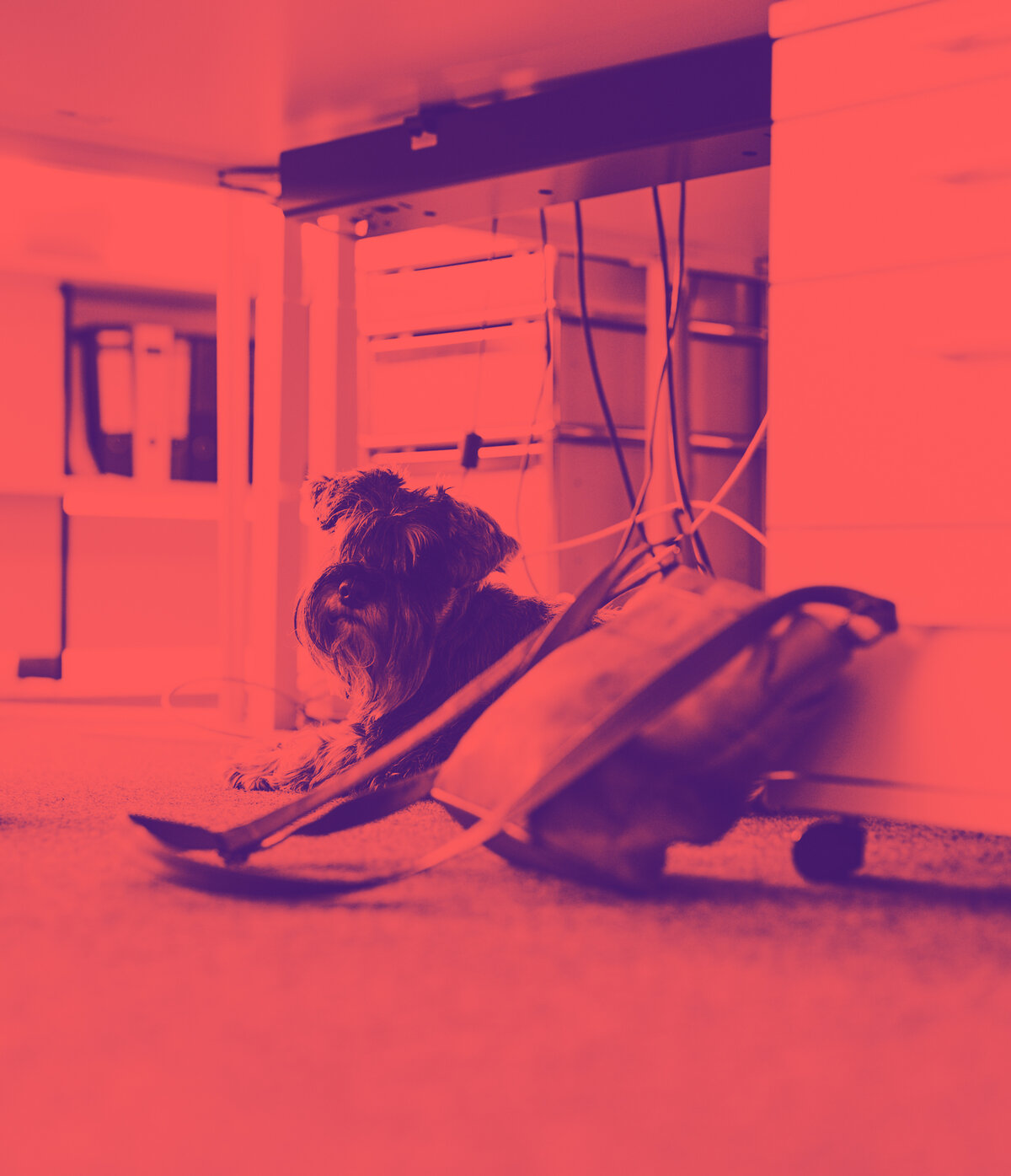 DACHCOM Communication
